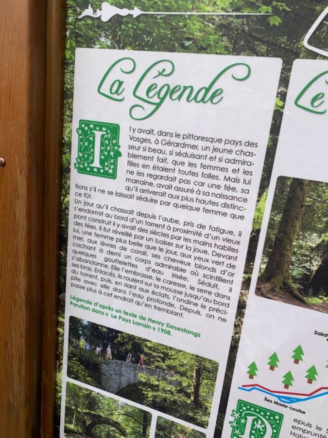Charmant Appartement A جوراردُميه المظهر الخارجي الصورة